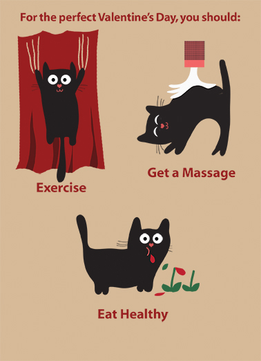 Funny Cat Valentine Cards